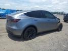 Tesla Model Y Image 2
