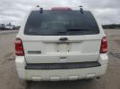 Ford Escape Xlt Image 2