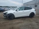 Tesla Model Y Image 1
