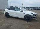 Tesla Model Y Image 12