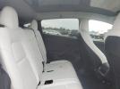 Tesla Model Y Image 8