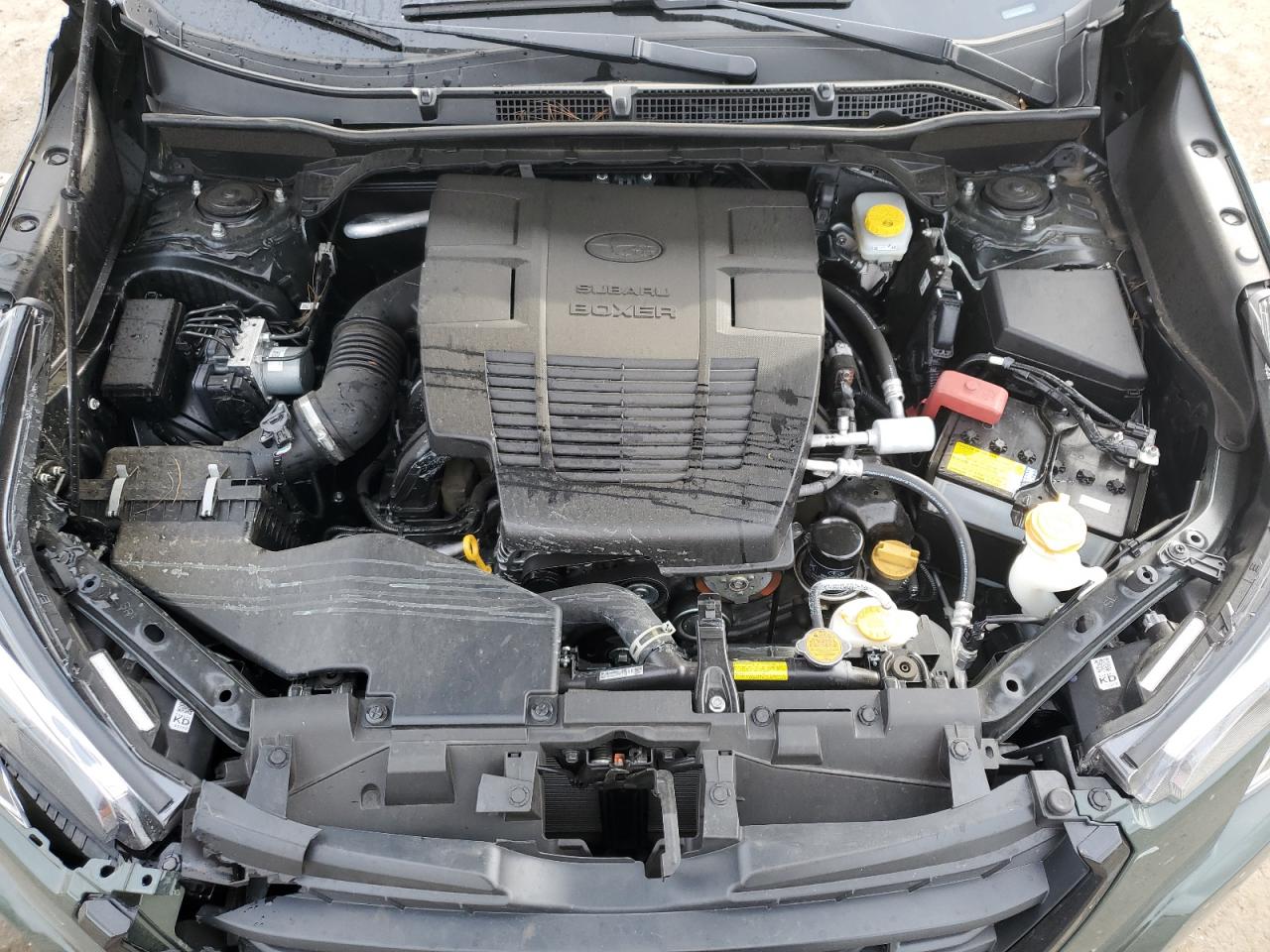 Subaru Forester Premium Image 12