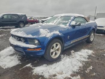  Salvage Ford Mustang