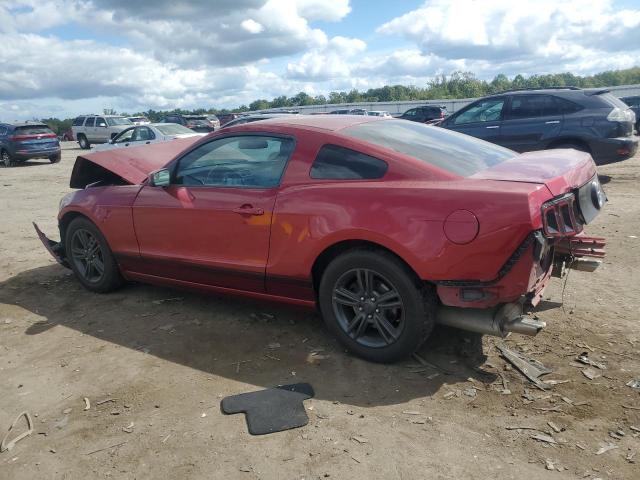 Ford Mustang Image 2