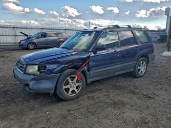  Salvage Subaru Forester