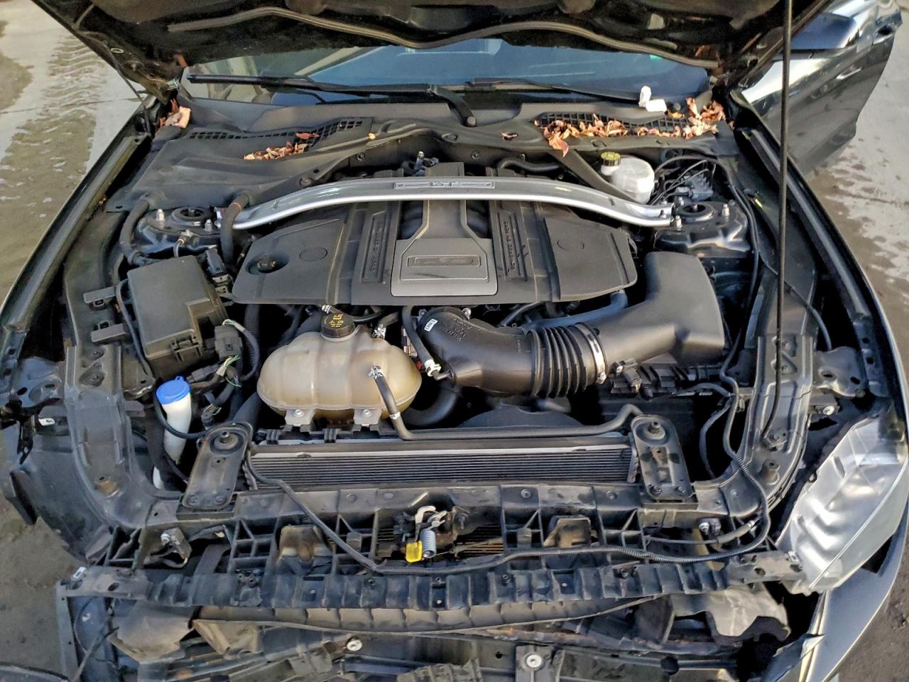 Ford Mustang Gt Image 9