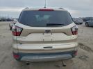 Ford Escape Se Image 10