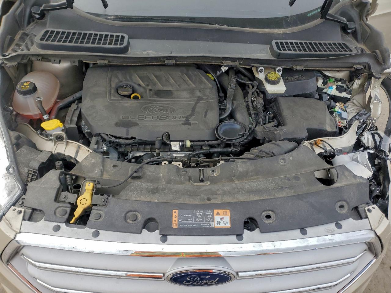 Ford Escape Se Image 6