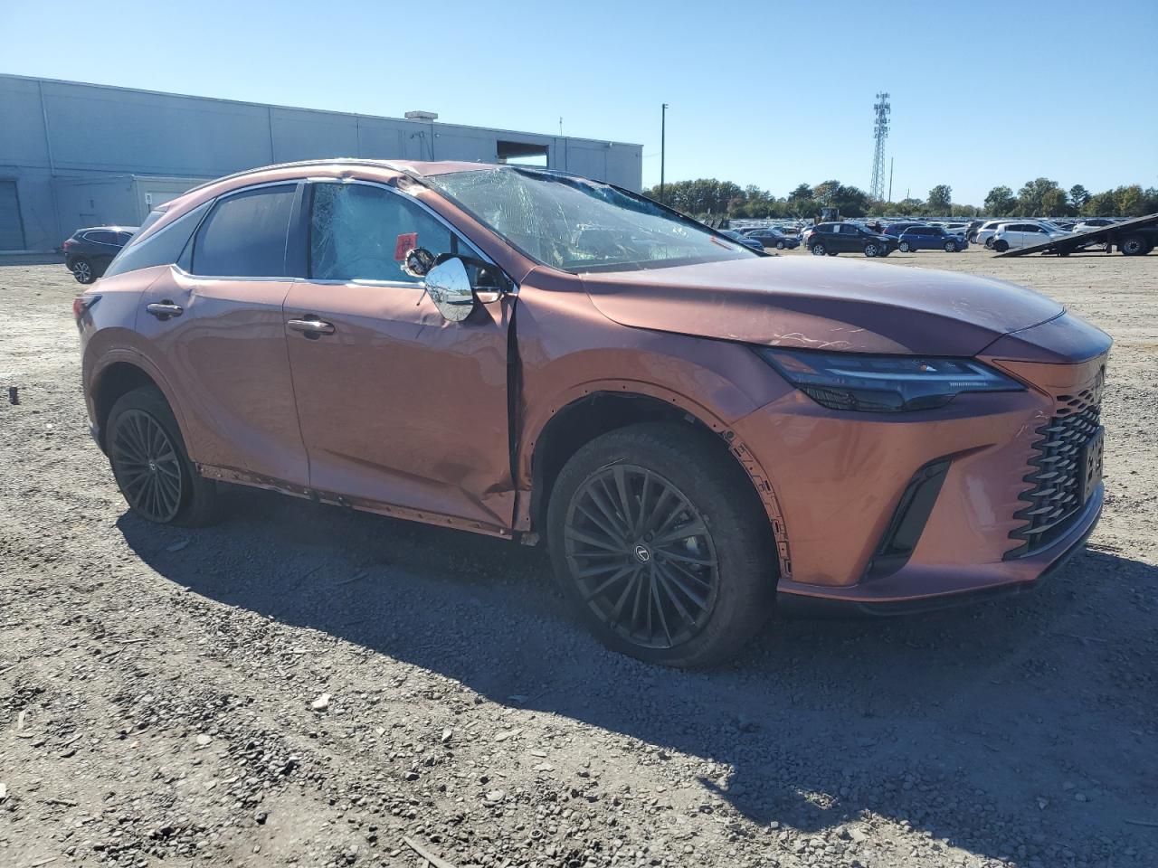 Lexus RX 350 Base Image 13