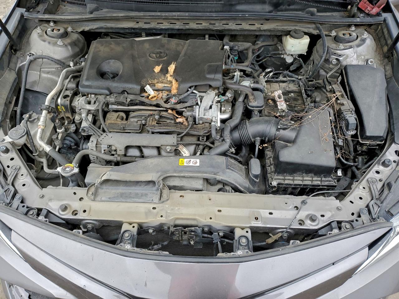 Toyota Camry L Image 12