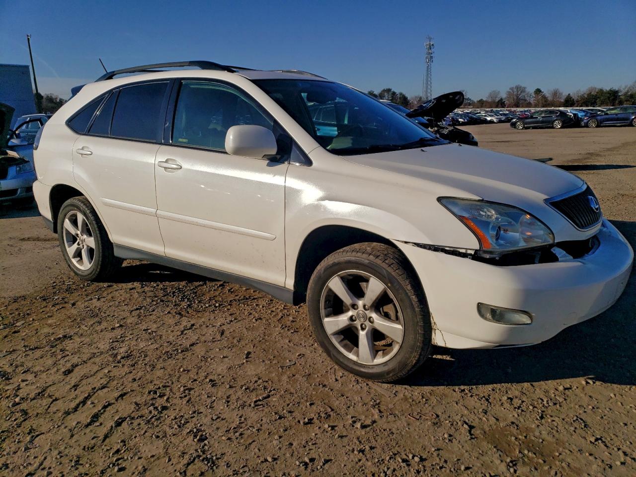 Lexus RX 330 Image 2