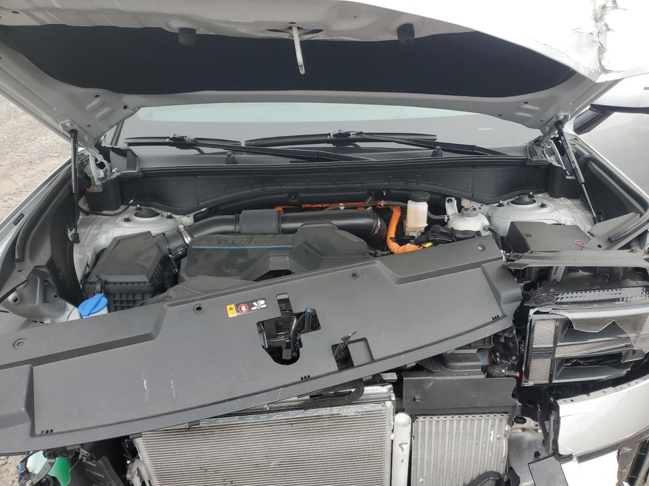 Hyundai SANTA FE Calligraphy Image 13