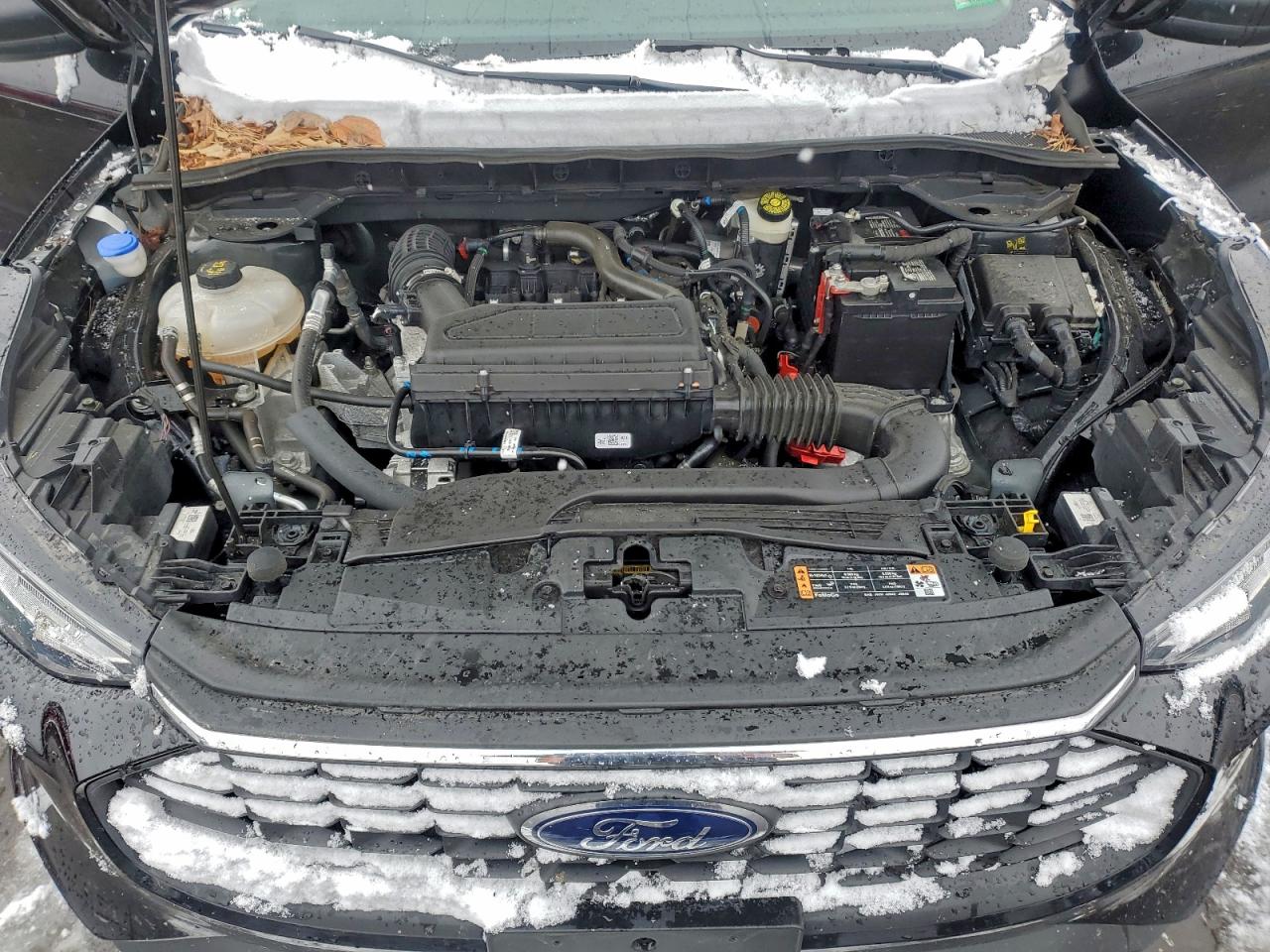 Ford Escape Active Image 7