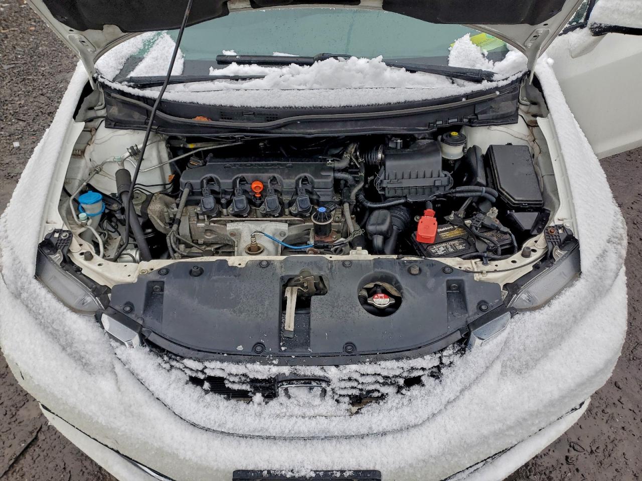 Honda Civic Exl Image 6