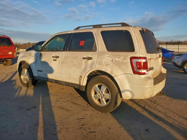 Ford Escape Xlt Image 2