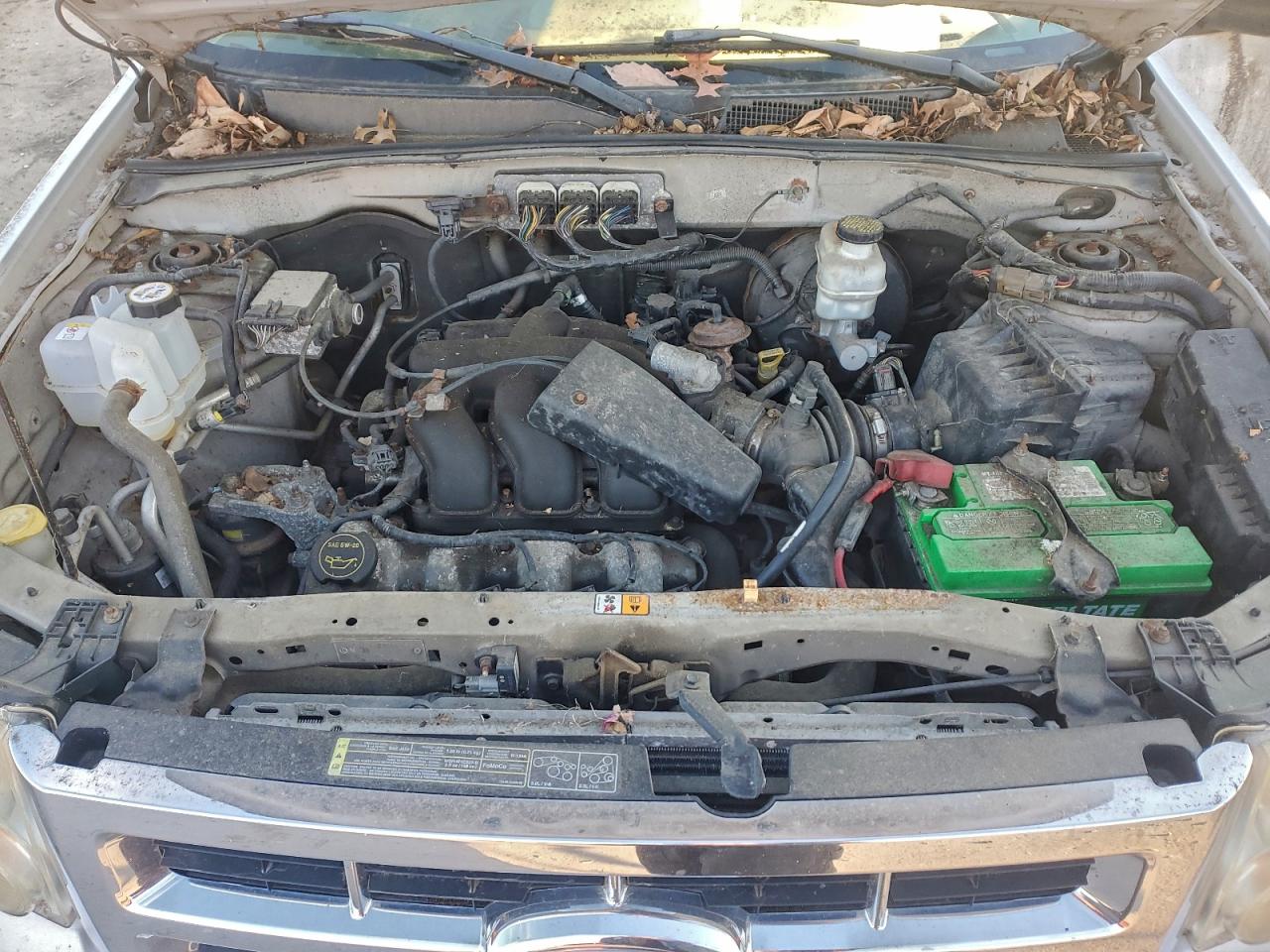 Ford Escape Xlt Image 7