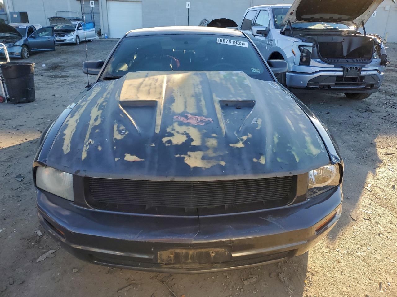 Ford Mustang Image 3