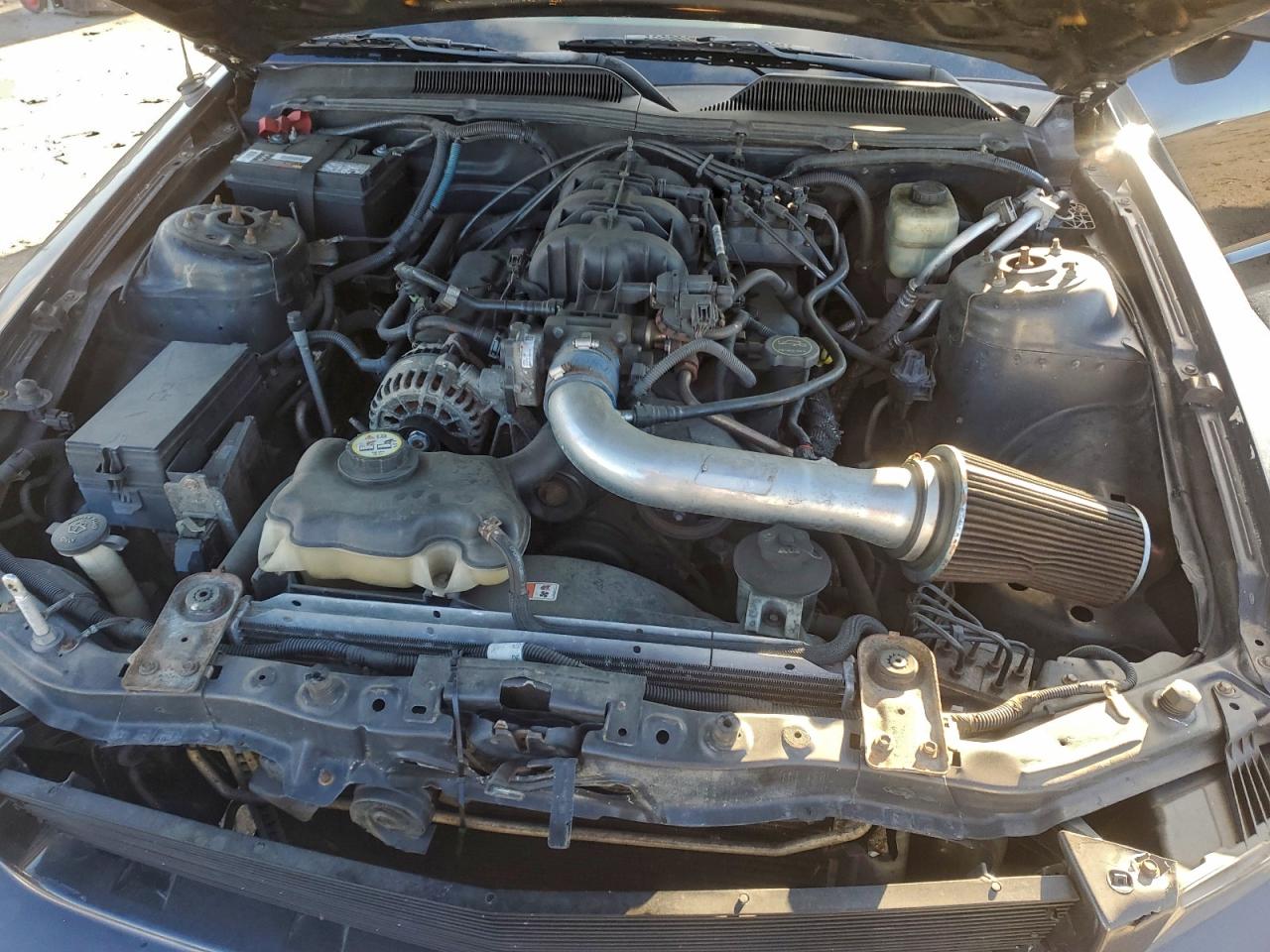 Ford Mustang Image 2