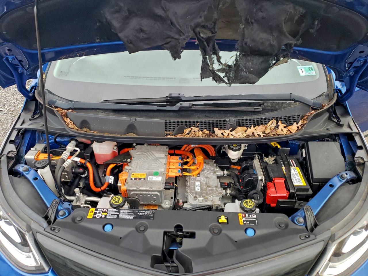 Chevrolet Bolt Premier Image 5