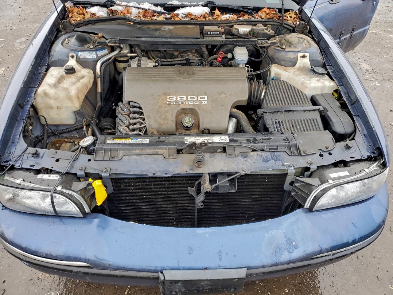 Buick LeSabre Custom Image 11