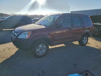  Salvage Honda Crv