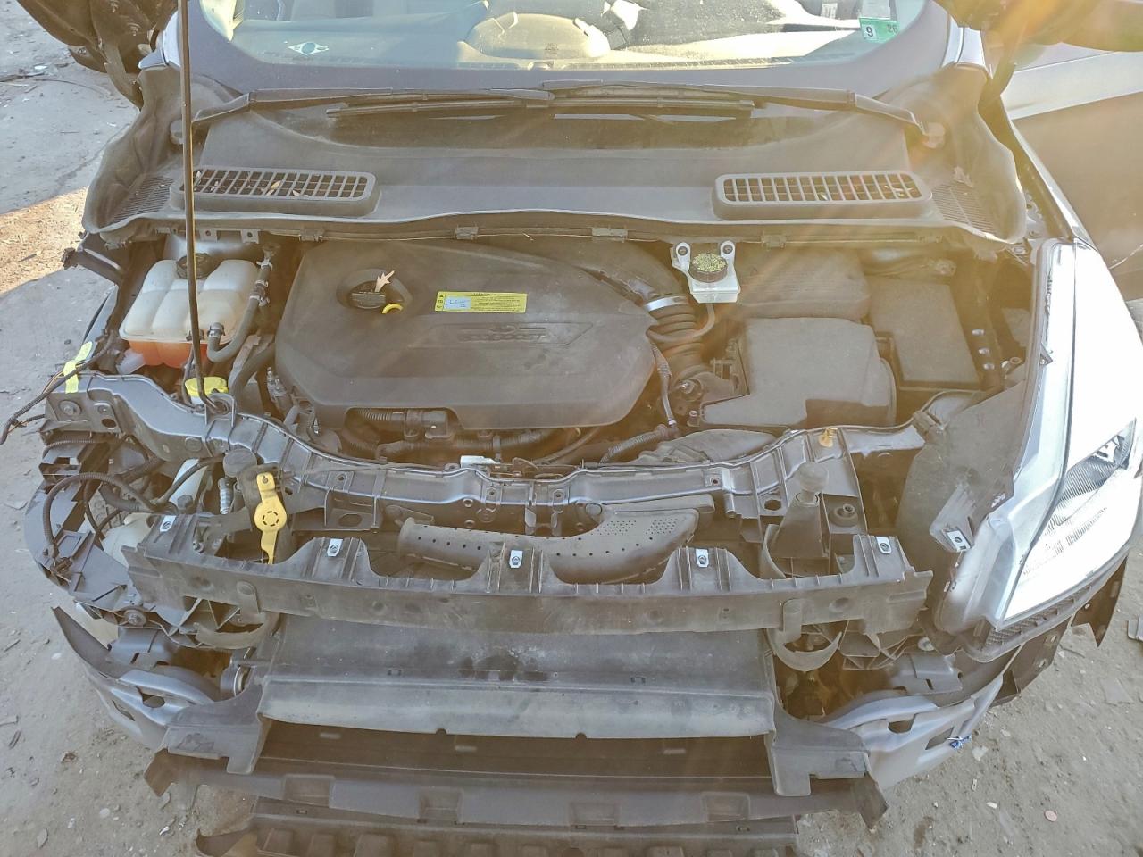 Ford Escape Se Image 10