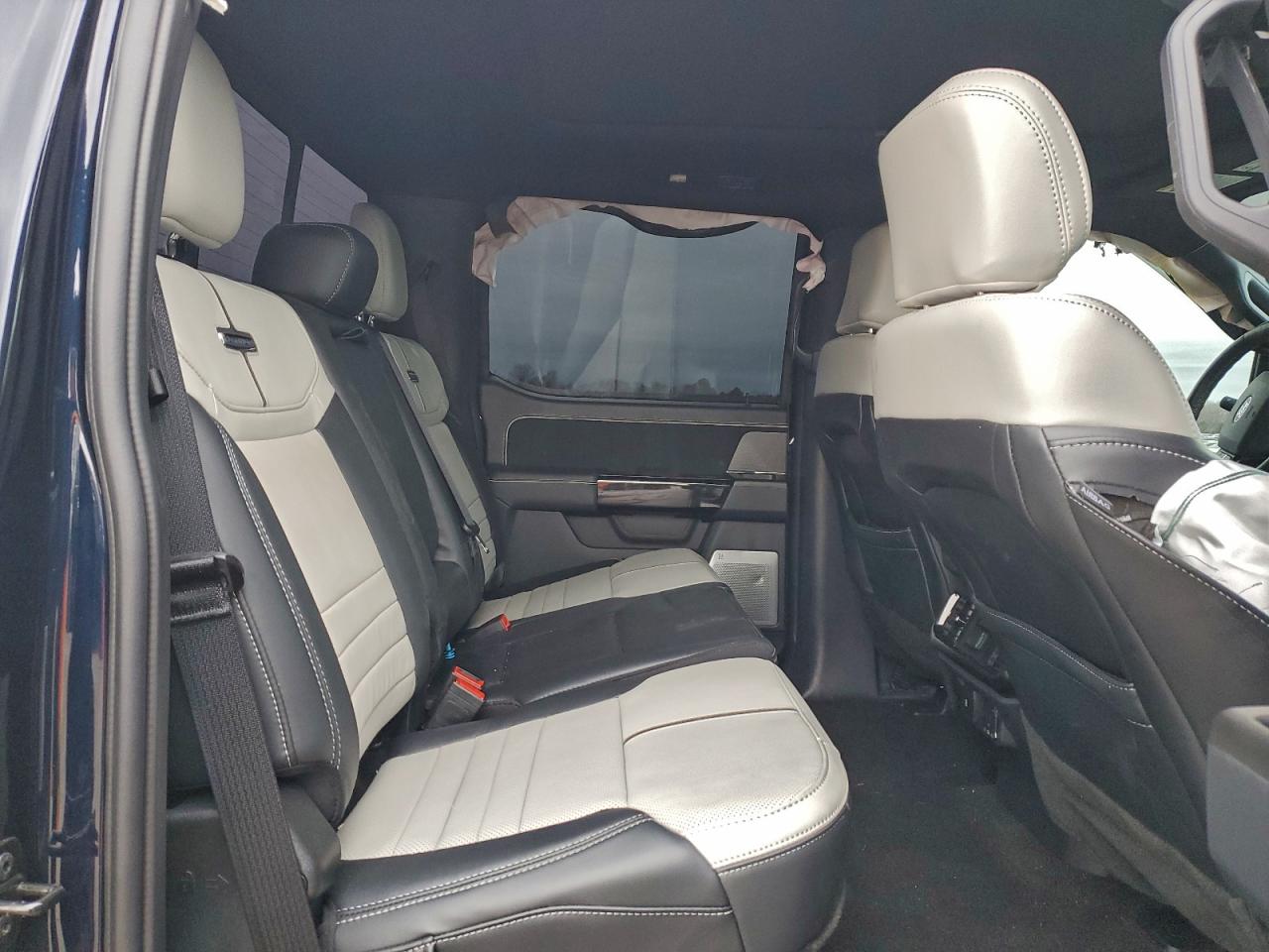 Ford F-150 Lightning Platinum Image 7