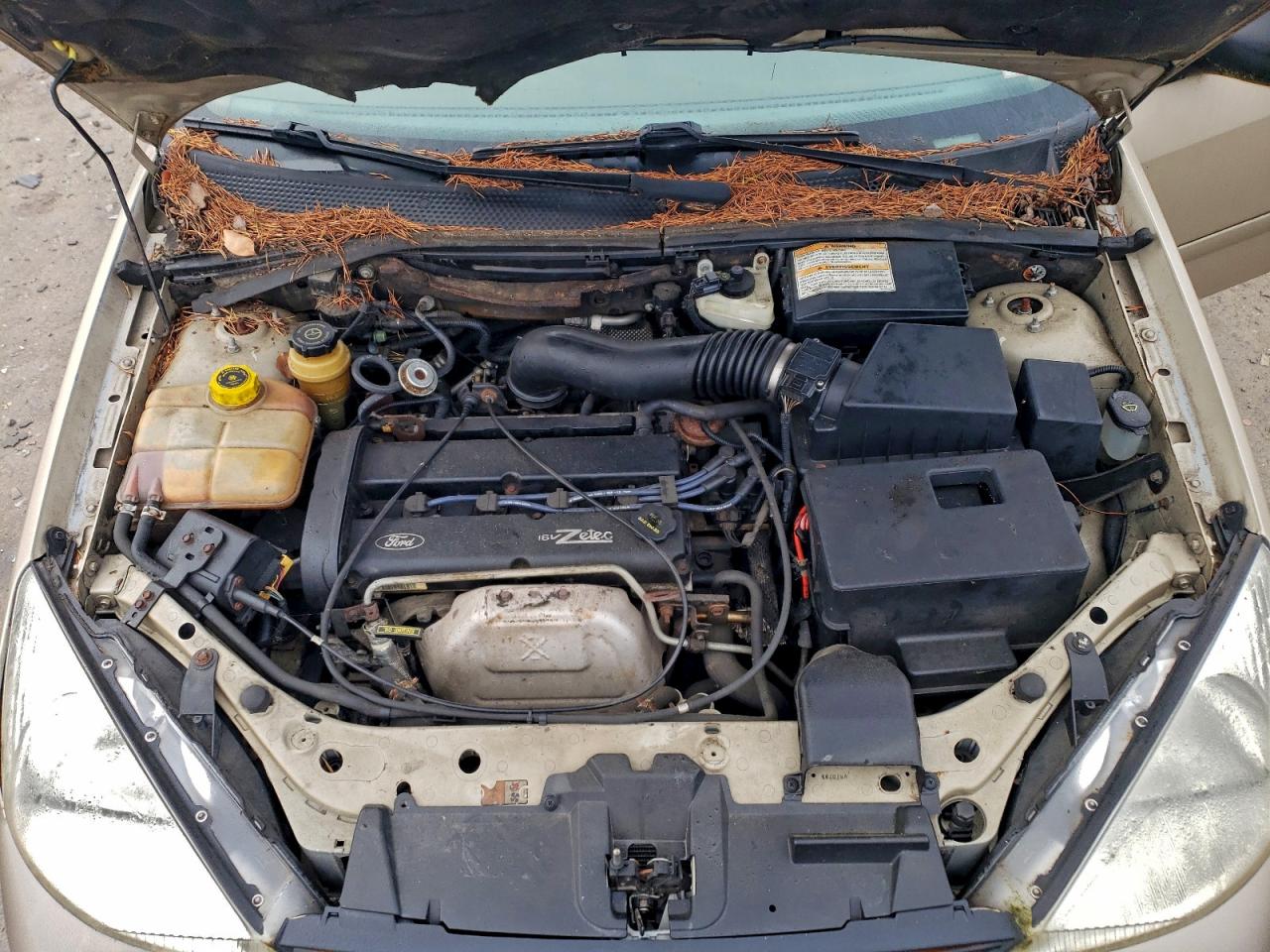 Ford Focus Se Image 9