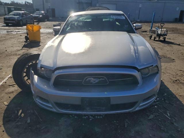 Ford Mustang Image 2