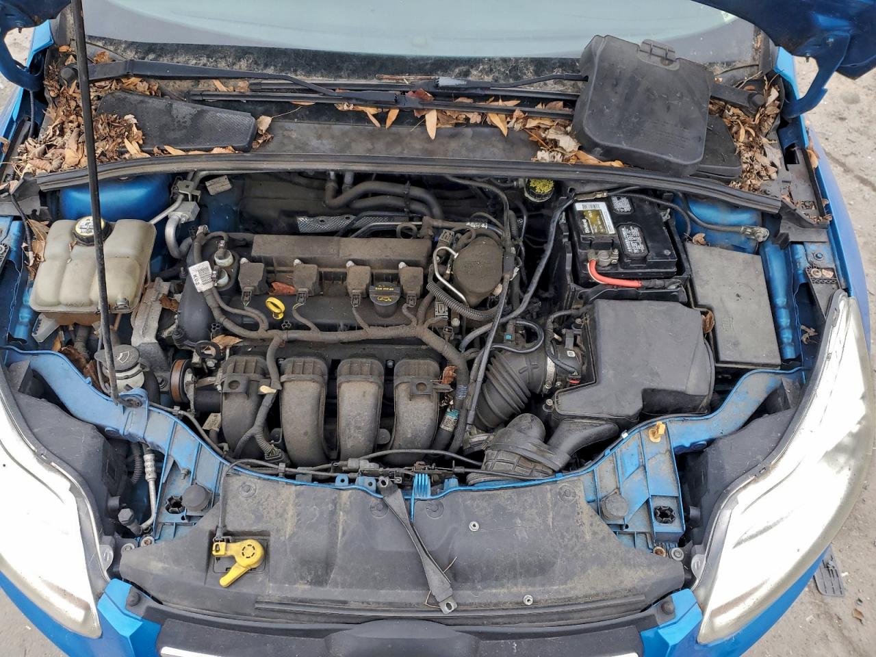 Ford Focus Se Image 8