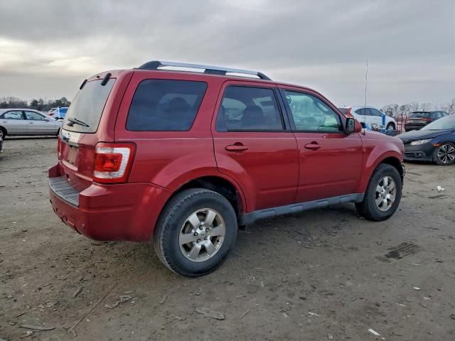 Ford Escape Limited Image 4