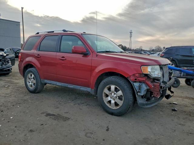 Ford Escape Limited Image 3