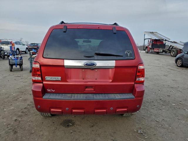 Ford Escape Limited Image 6