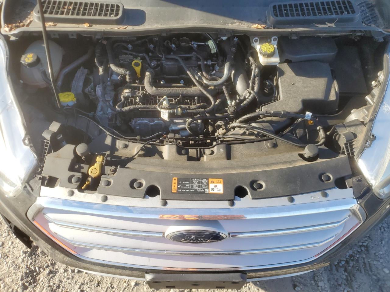 Ford Escape Se Image 12