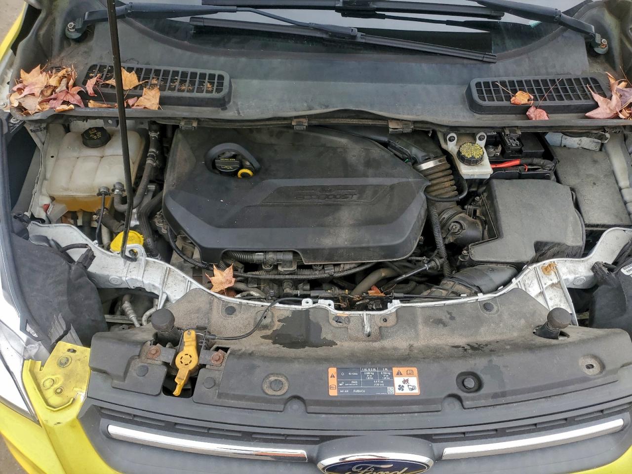 Ford Escape Se Image 10