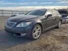 Lexus LS 460 Image 1