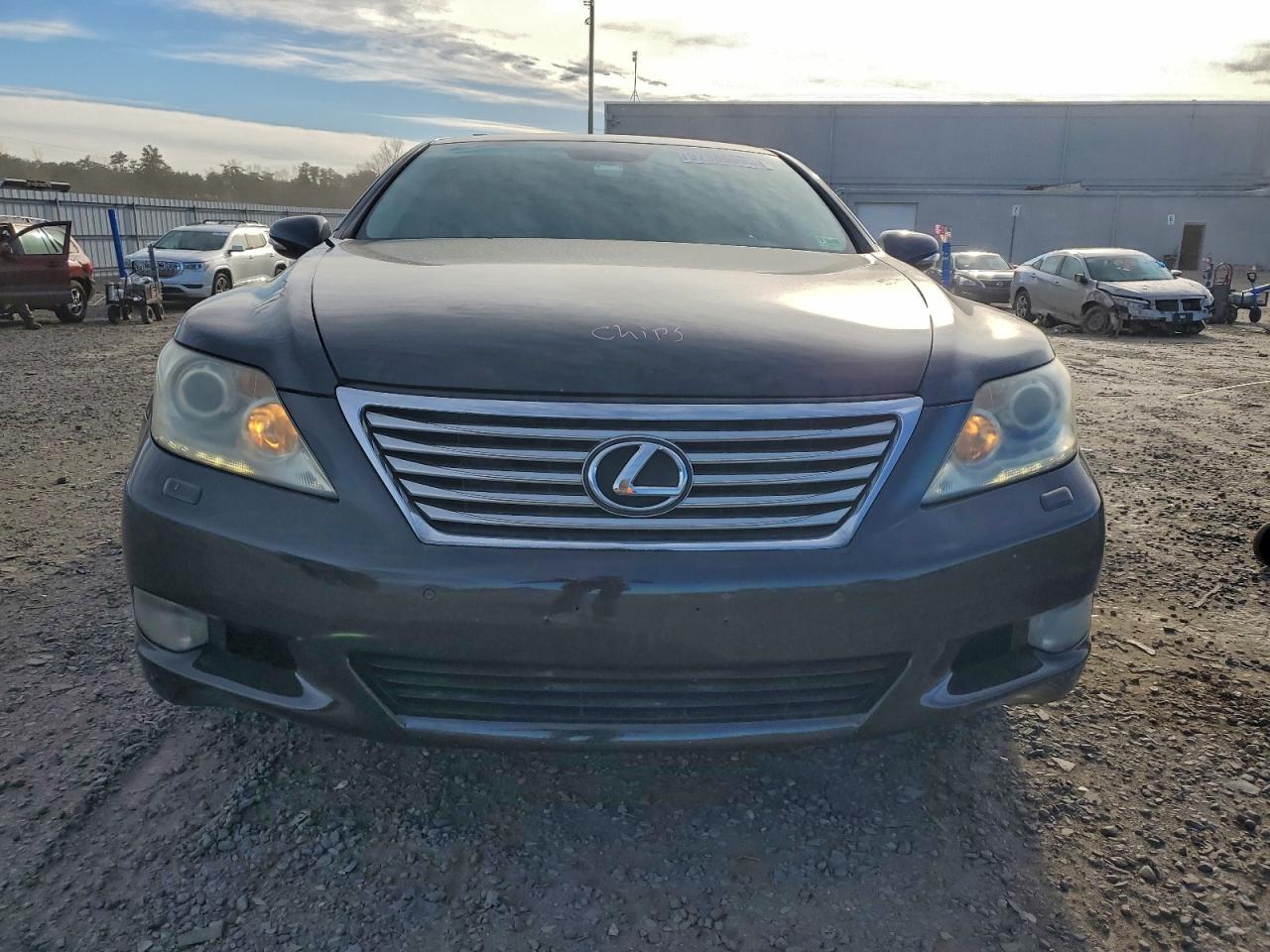 Lexus LS 460 Image 5