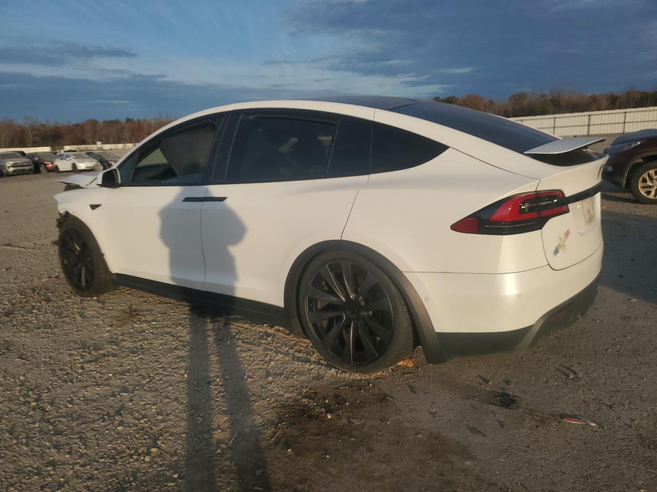 Tesla Model X Image 2