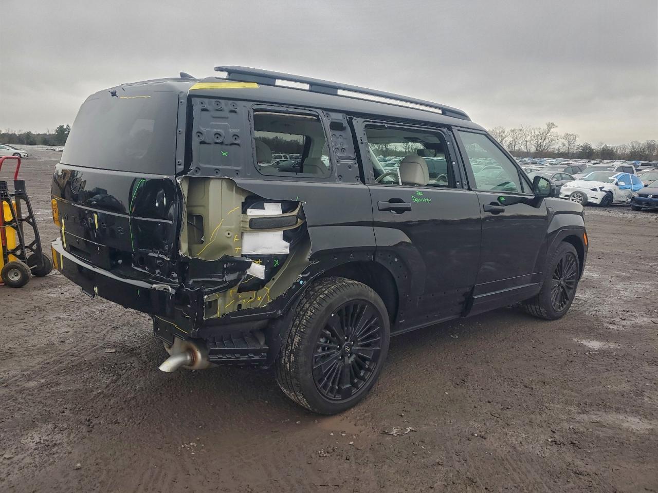 Hyundai SANTA FE Calligraphy Image 4