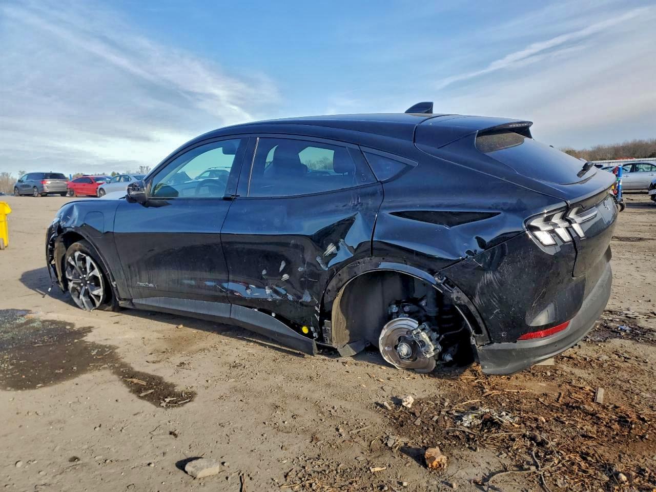 Ford Mustang Select Image 3