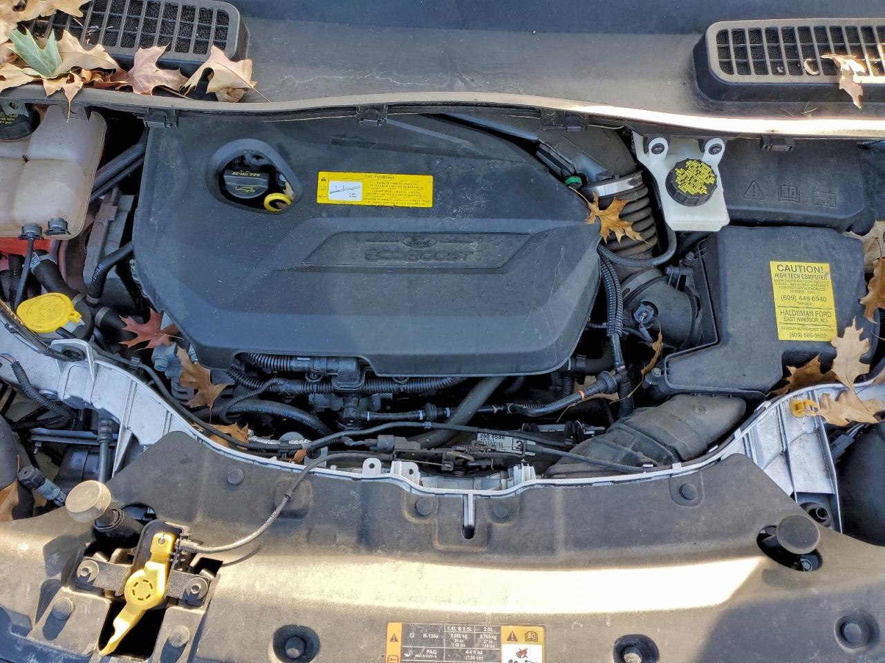 Ford Escape Se Image 12